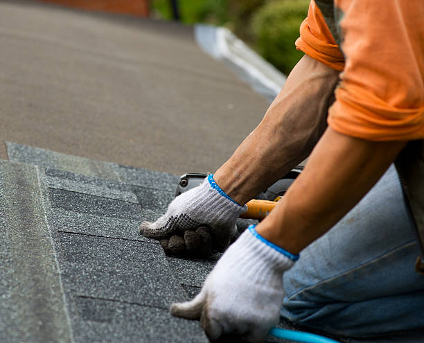 Best Roof Gutter Cleaning  in South Coventry, CT